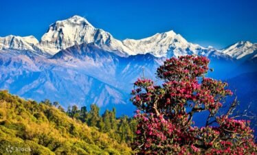 Ghorepani Poon Hill Trek